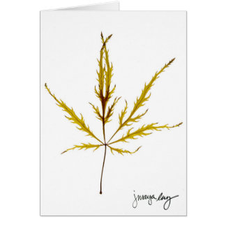 "Ätzte Blatt" durch J. Maya Luz