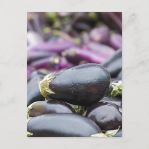 Aubergine Postkarte