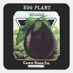 Aubergine-Samenpackungsetikett Quadratischer Aufkleber