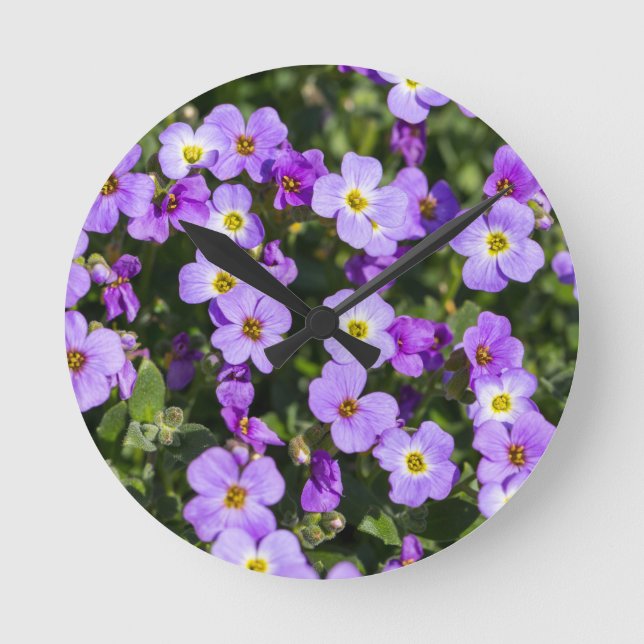 Aubretia im Hintergrund Runde Wanduhr (Vorderseite)