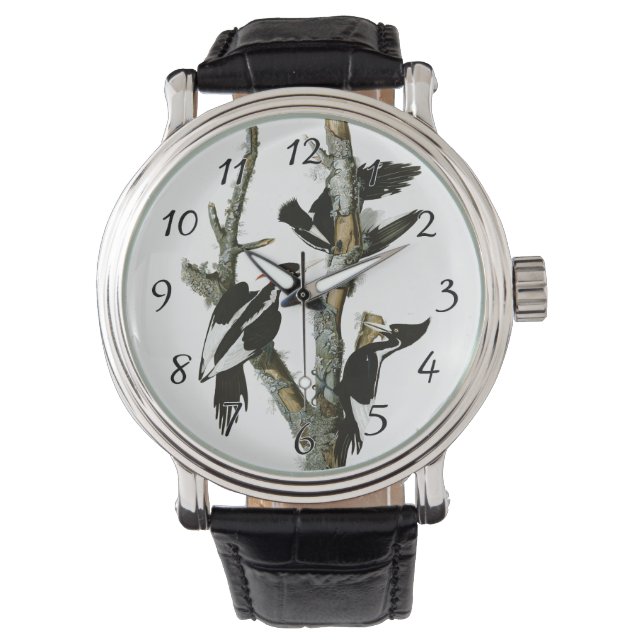 Aububons Elfenbeinspecht in Asche Armbanduhr (Vorderseite)