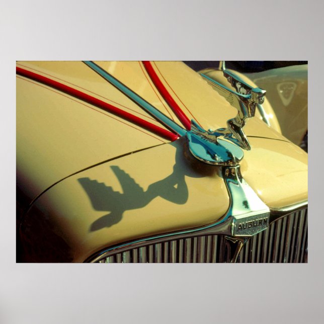 Auburn Speedster Radiator Ornament Poster (Vorne)