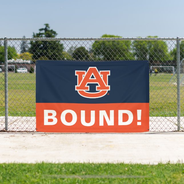 Auburn University | ABSCHLUSS Banner (InSitu)