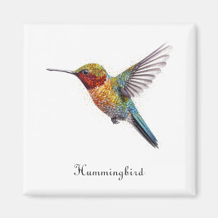 Auch der farbenfrohe, fliegende Kolibris Magnet