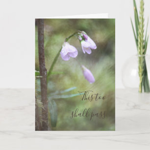 Auch dieses Foto soll in der Blume des Rosa Waldes Karte