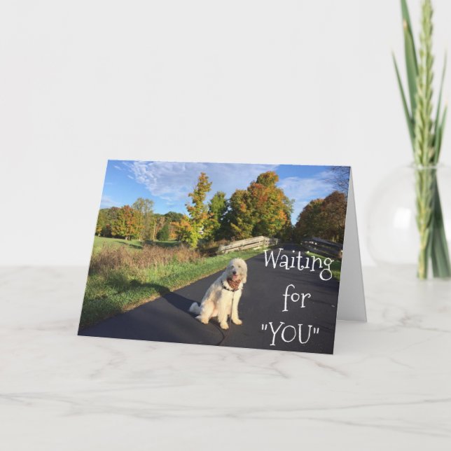 AUCH FÜR "SIE" UND "VERMISST" SIE gewartet!THI Karte (Vorderseite)