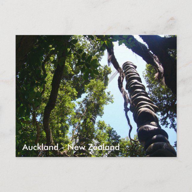 Auckland Postkarte (Vorderseite)