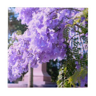 Aucklands Lila Prinzessin Tree Decorative Tiles Fliese