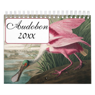 Audobon-Vogelkalender Kalender
