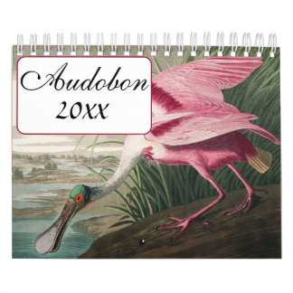 Audobon-Vogelkalender Kalender