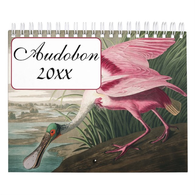 Audobon-Vogelkalender Kalender (Titelbild)