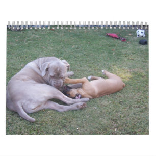 Audrey and Willow Calendar 2013 Kalender