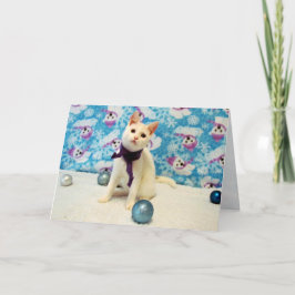 Audrey's Christmas - Cat / Kitten Holiday Card Feiertagskarte