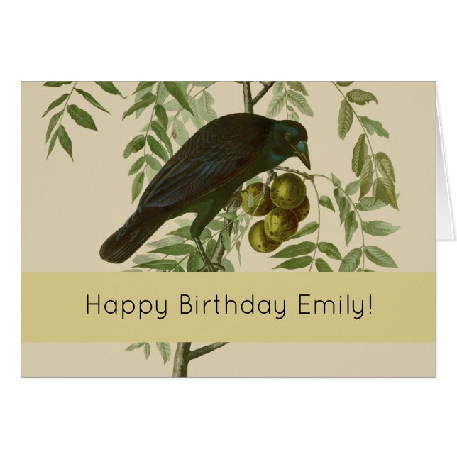 Audubon American Crow Black Bird (Vorderseite (Horizontal))