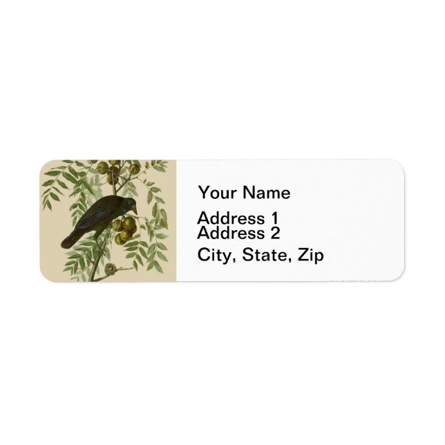 Audubon American Crow Black Bird (Vorne)