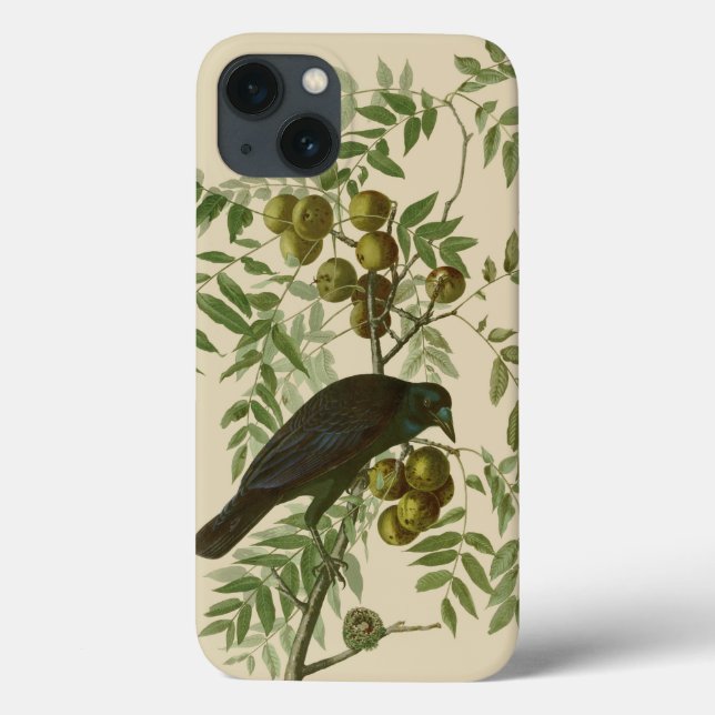 Audubon American Crow Black Bird Case-Mate iPhone Hülle (Rückseite)