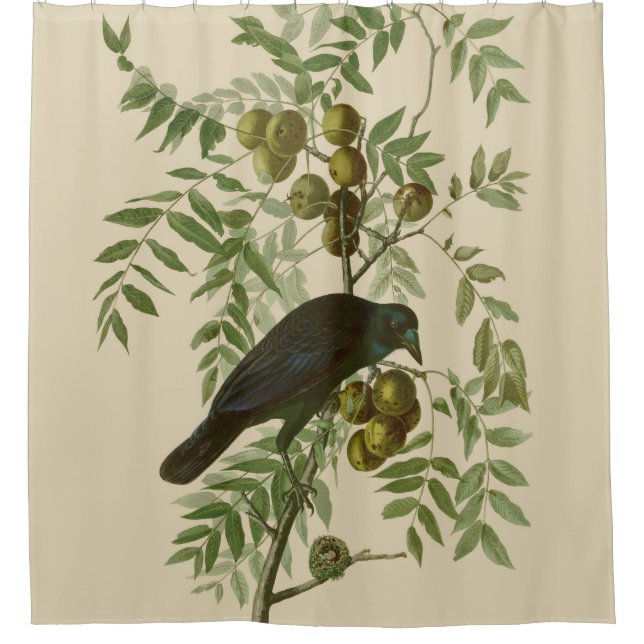 Audubon American Crow Black Bird Duschvorhang (Vorderseite)