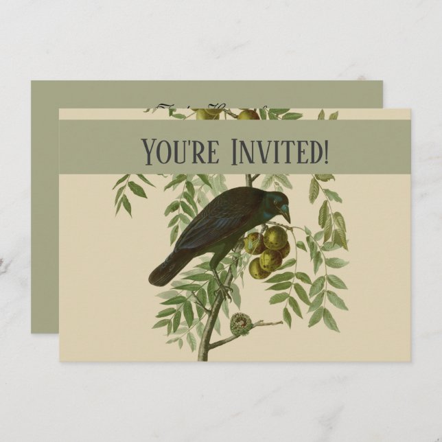 Audubon American Crow Black Bird Einladung (Vorne/Hinten)