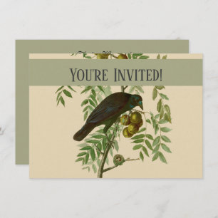 Audubon American Crow Black Bird Einladung