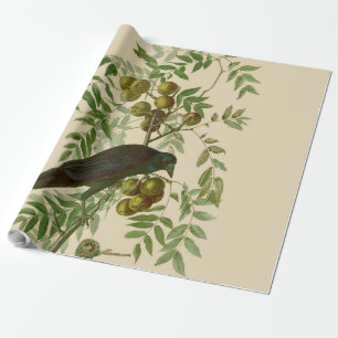 Audubon American Crow Black Bird Geschenkpapier