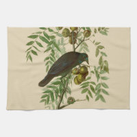 Audubon American Crow Black Bird