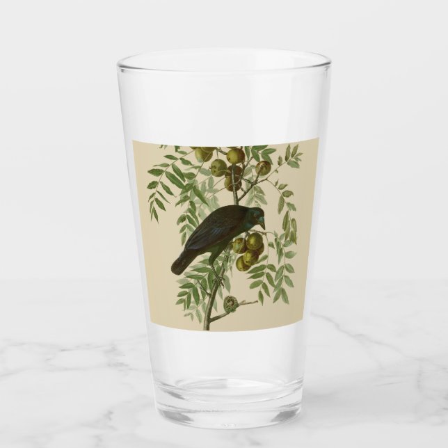 Audubon American Crow Black Bird Glas (Vorderseite)