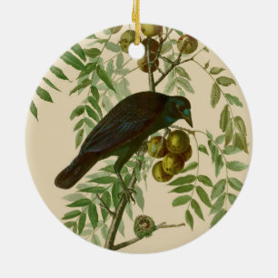 Audubon American Crow Black Bird Keramik Ornament