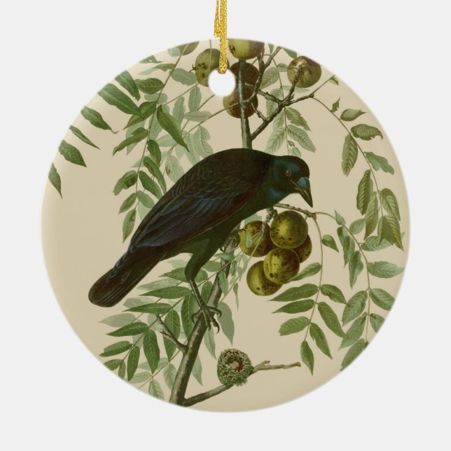 Audubon American Crow Black Bird Keramik Ornament (Hinten)