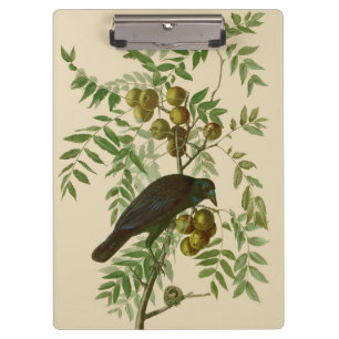 Audubon American Crow Black Bird Klemmbrett