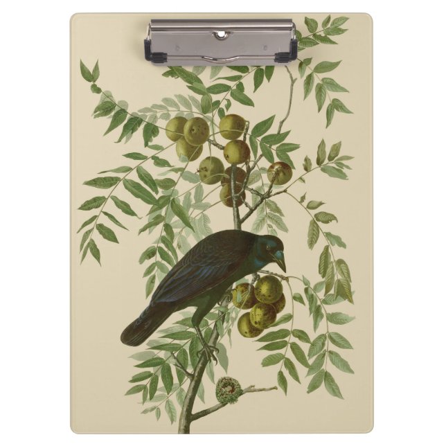 Audubon American Crow Black Bird Klemmbrett (Vorderseite)