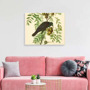 Audubon American Crow Black Bird Leinwanddruck