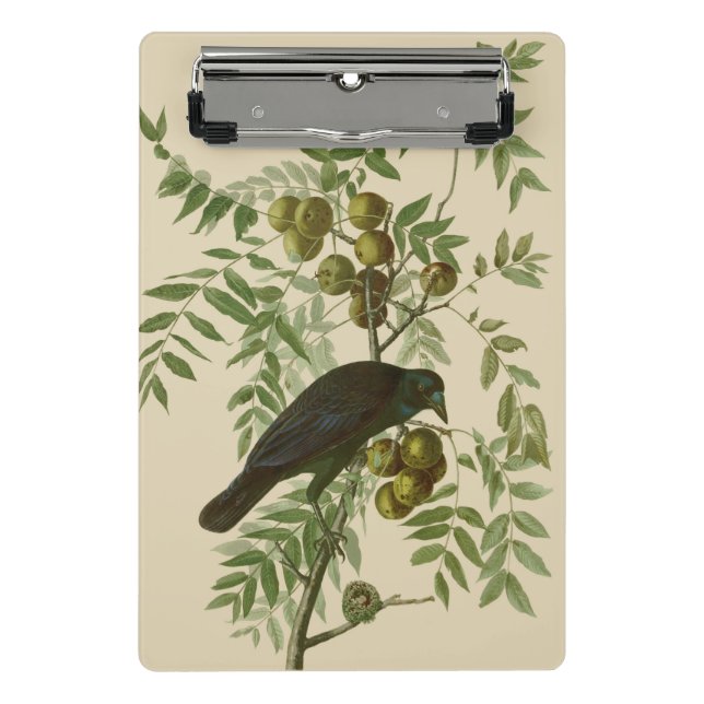 Audubon American Crow Black Bird Mini Klemmbrett (Vorderseite)