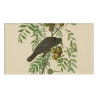 Audubon American Crow Black Bird
