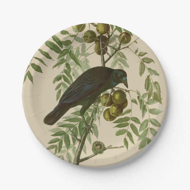 Audubon American Crow Black Bird Pappteller (Vorderseite)