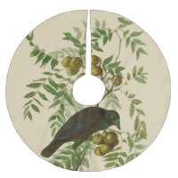 Audubon American Crow Black Bird