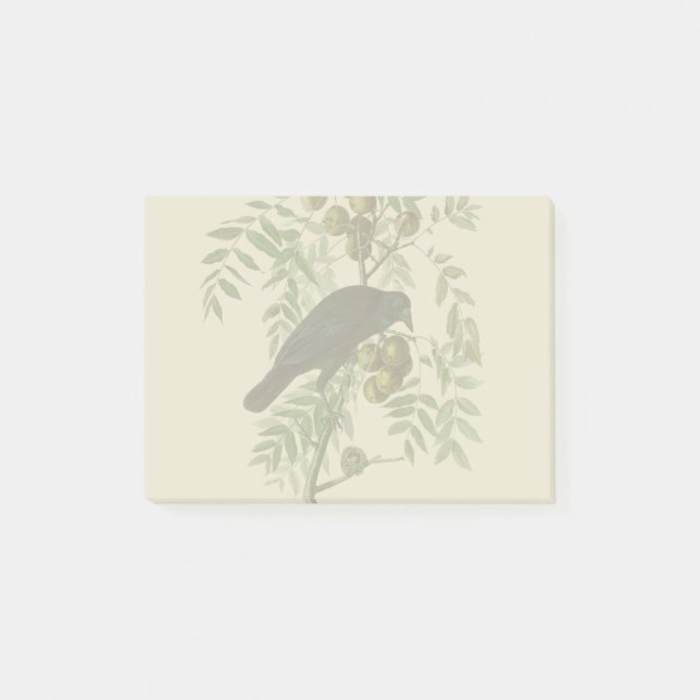 Audubon American Crow Black Bird Post-it Klebezettel (Vorderseite)