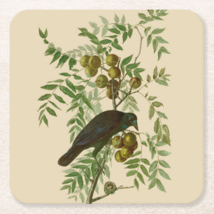 Audubon American Crow Black Bird Rechteckiger Pappuntersetzer