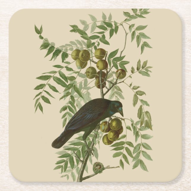 Audubon American Crow Black Bird Rechteckiger Pappuntersetzer (Vorderseite)