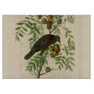 Audubon American Crow Black Bird Schneidebrett