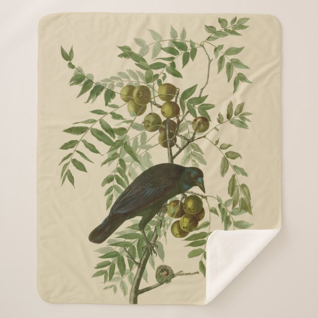 Audubon American Crow Black Bird Sherpadecke (Vorderseite)