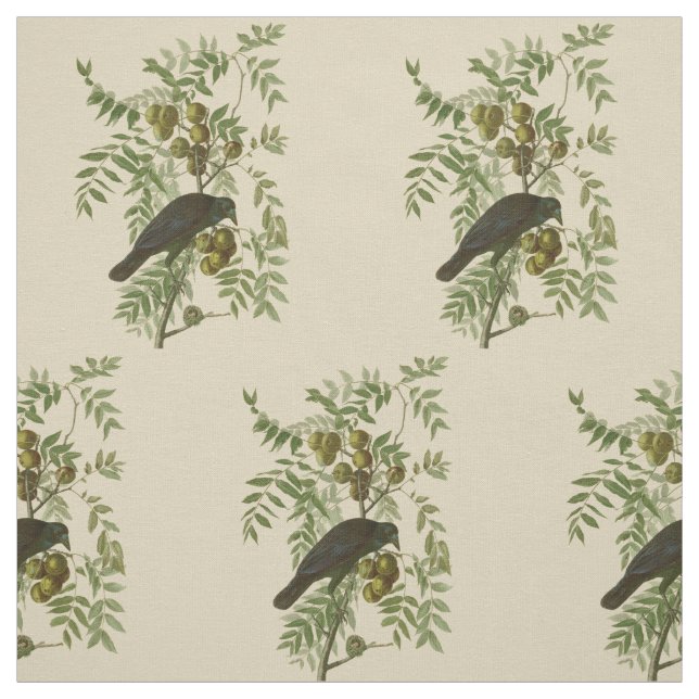 Audubon American Crow Black Bird Stoff (Muster)