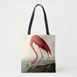 Audubon American Flamingo