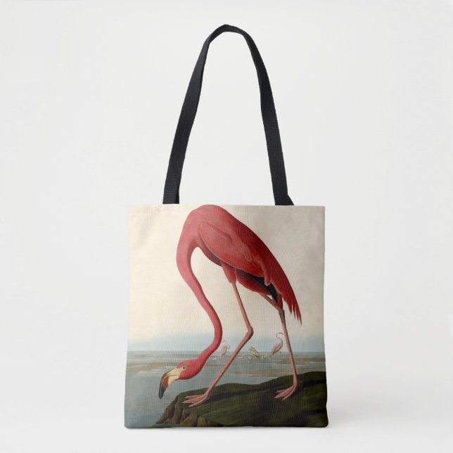 Audubon American Flamingo (Vorderseite)