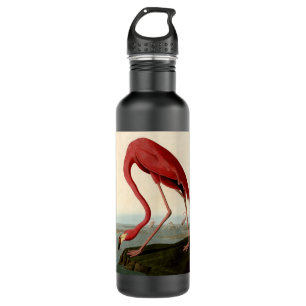 Audubon American Flamingo Edelstahlflasche