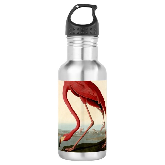 Audubon American Flamingo Edelstahlflasche (Vorderseite)