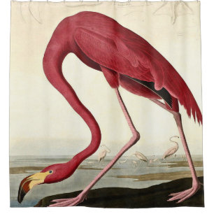 Audubon American Flamingo John James Audubon Duschvorhang
