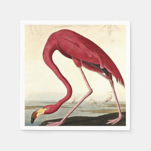 Audubon American Flamingo John James Audubon Serviette
