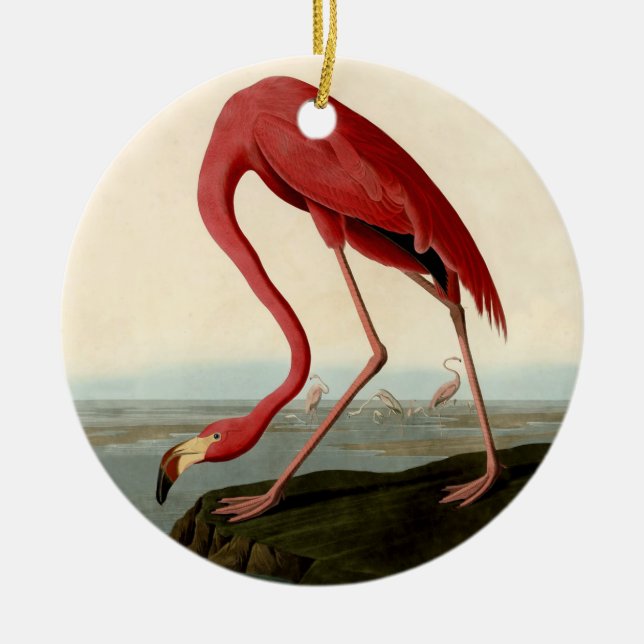 Audubon American Flamingo Keramikornament (Vorne)