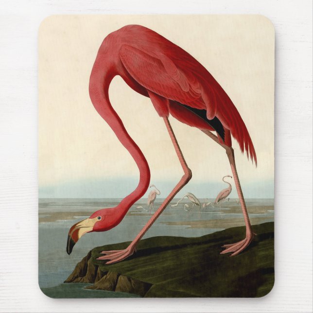 Audubon American Flamingo Mousepad (Vorne)
