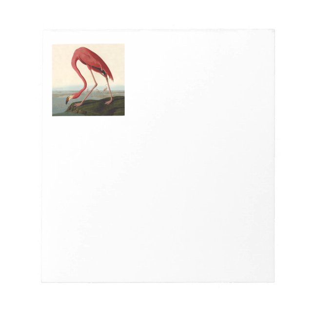 Audubon American Flamingo Notizblock (Vorderseite)